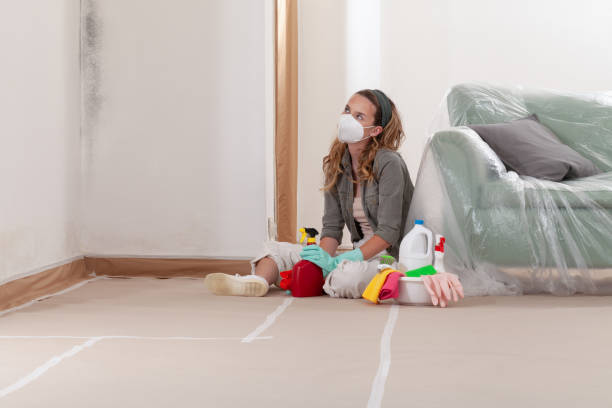 Reliable Mold Inspection contractor in Mesquite, TX by WQB Mold Removal